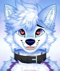 Furry coffee shop
