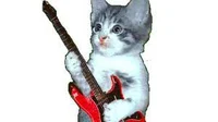 gato rock