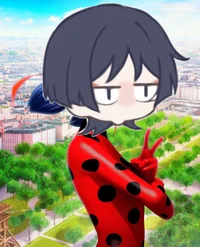 Ledi Bug Scaramouche