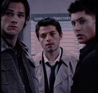Team Free Will