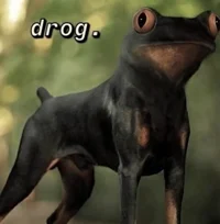 Drog