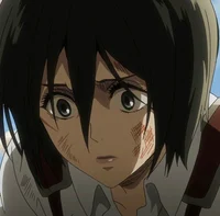 Mikasa Ackerman 