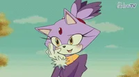 Blaze the cat