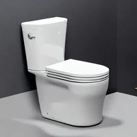 farting toilet