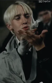 Draco Malfoy 