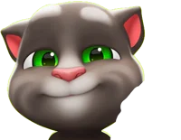 Tom insults you