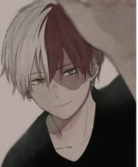 Shoto Todoroki 