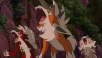 Lycanroc Brothers