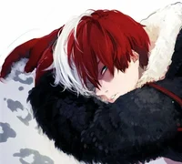 Shoto Todoroki