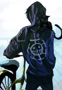 Law