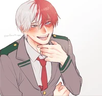 Shoto Todoroki 