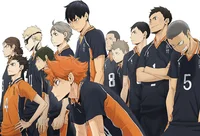 Haikyu karasuno