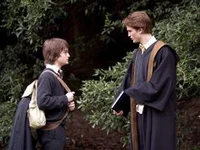 Cedric y Harry
