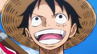 Monkey D Luffy