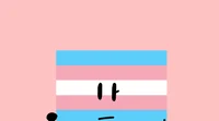 Trans Flag
