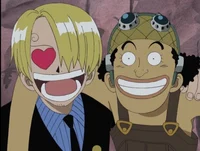 Sanji and Usopp