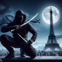 A ninja in Paris 
