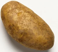 Potato 