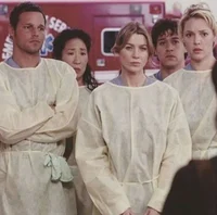 Greys Anatomy 