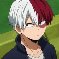 Shoto Todoroki 
