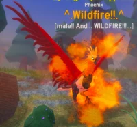 Wildfire Phoenix