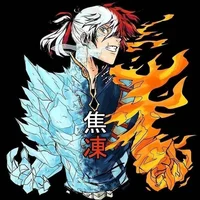 Shoto Todoroki 