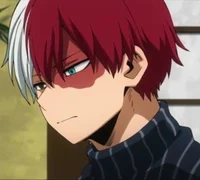 Shoto Todoroki 