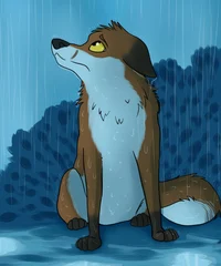 Sad fox furry