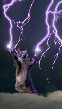 Thunderbolt Kitty