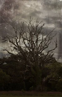 Dendrophobia