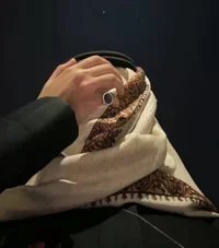 Arab prince