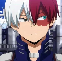 Shoto Todoroki 
