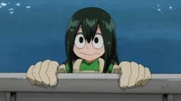 Froppy