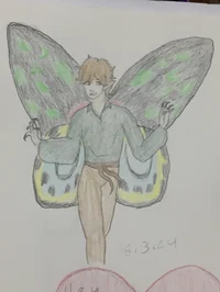 butterfly fairy boy 