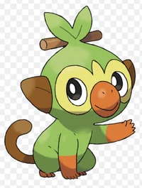 Grookey boi