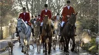 foxhunting rp