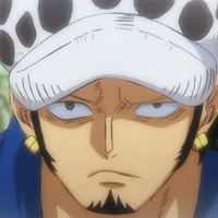 Law