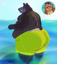 Bear at the beach
