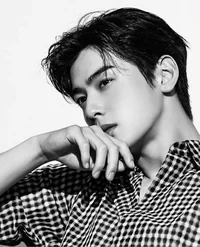 Cha Eun woo