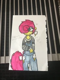 Opposite Dream wally