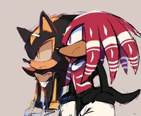 Shadow and knuckles 