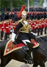 British Royal Guard
