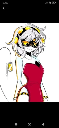 Serial designacion V