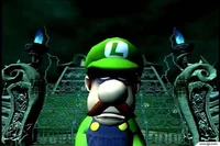 Forgotten luigi