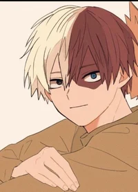 Shoto Todoroki 