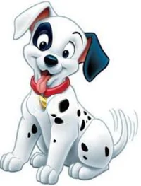 Lucky dalmatian girl