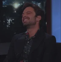 Sebastian Stan 
