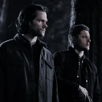 THE WINCHESTERS