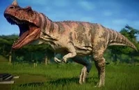 Ceratosaurus