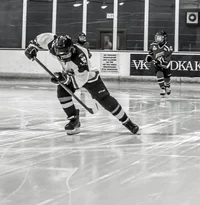 Hockey Enemy